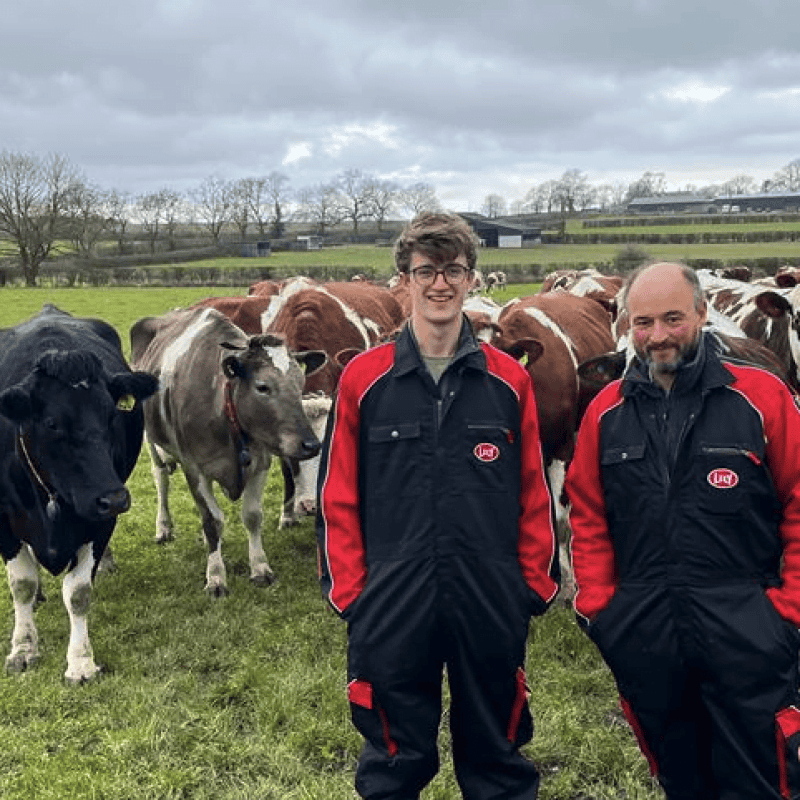 Dairy farm workers standing with cows in a lush green pasture under cloudy skies.