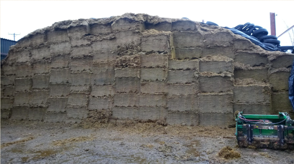 Farmer improves silage clamp stability with less wastage