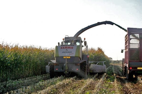 Essential Information Ahead Of Your Maize Silage Harvest