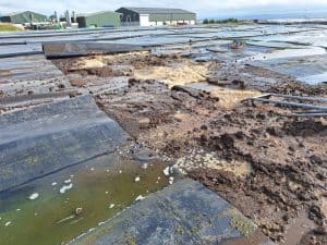 Crust damage on slurry store covers affecting farm operations.