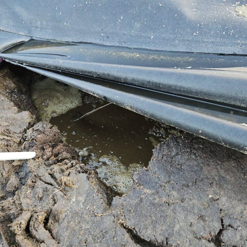 Close-up of slurry store cover with crust forming underneath, highlighting the importance of proper.