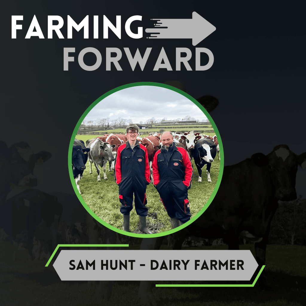 Dairy farmer Sam Hunt standing with cows in a green field.