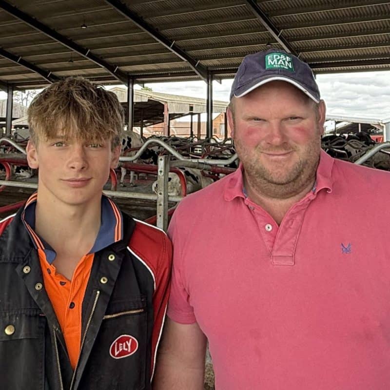 Young farmer and adult in dairy barn with bedding system equipment.