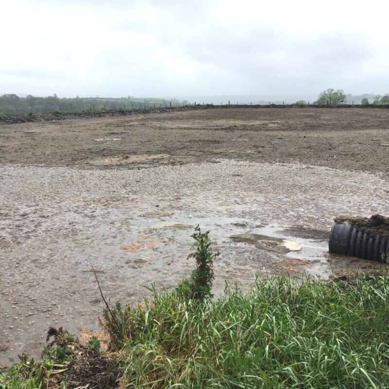 Empty farm field prepared for slurry application in Welsh dairy farm.